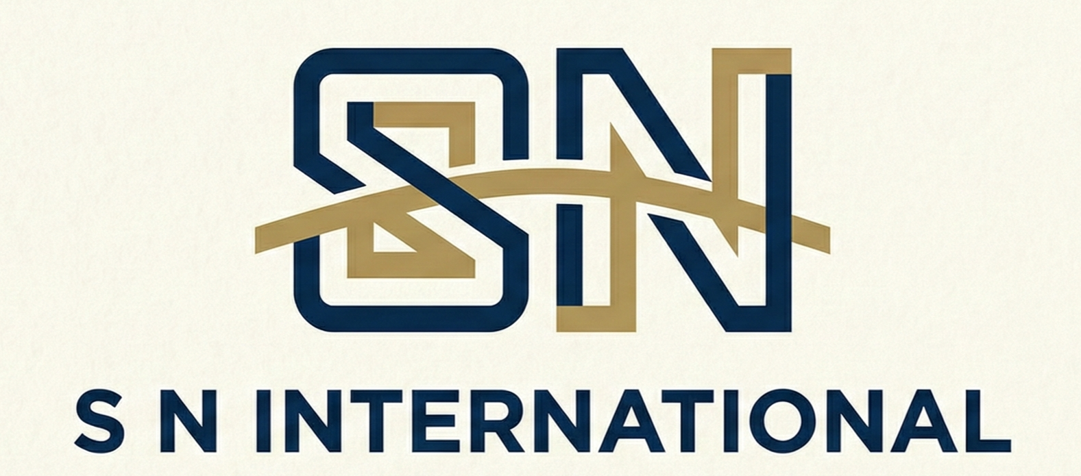S N International Logo